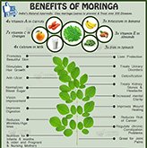 Moringa Nutritional Benefits